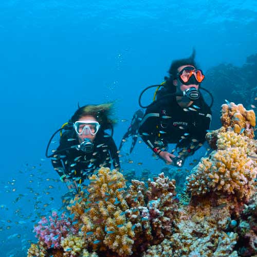 Diving Gili Air with Next Level Scuba