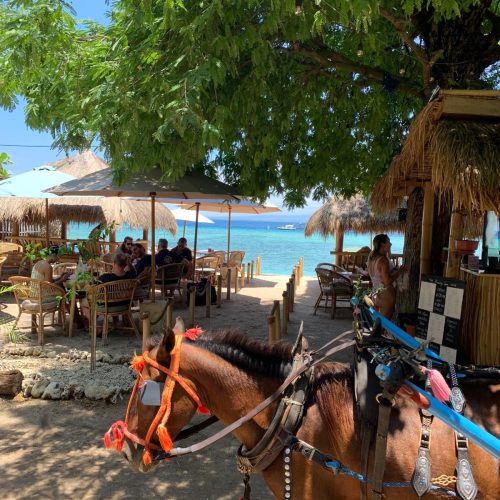 Gili Air Beach Horse Restaurant
