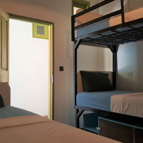 Tipsea Turtle, Dorm, cheap accommodation, hostel
